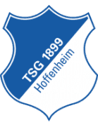 Logo TSG Hoffenheim